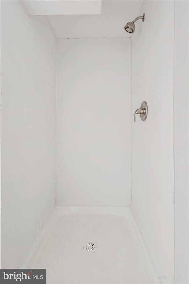 full bathroom with walk in shower