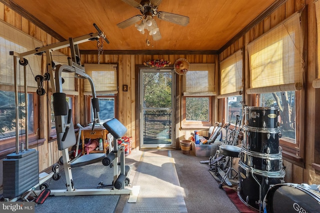 workout area featuring carpet, ceiling fan, wooden ceiling, and wooden walls