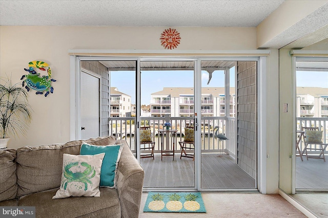 entryway featuring a healthy amount of sunlight, carpet floors, and a textured ceiling