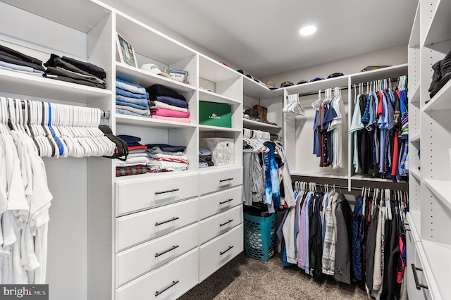 spacious closet featuring carpet floors