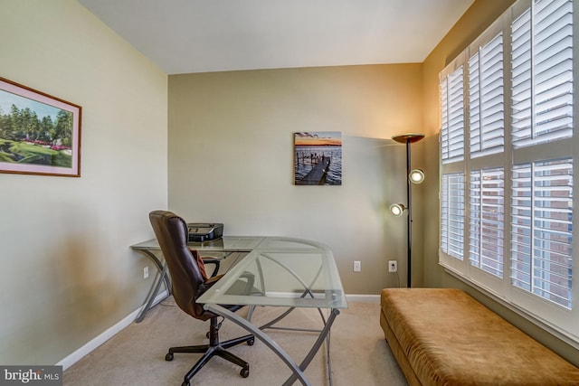 office featuring carpet flooring and baseboards