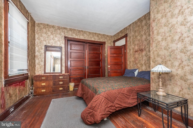 bedroom with a closet and hardwood / wood-style flooring