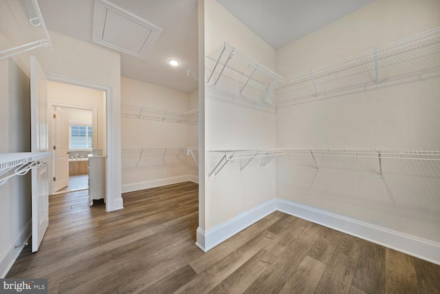 walk in closet featuring dark wood finished floors