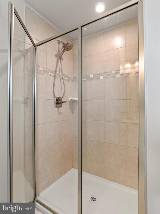 bathroom with a shower stall