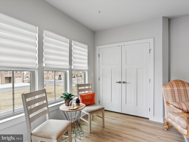 living area with light wood finished floors