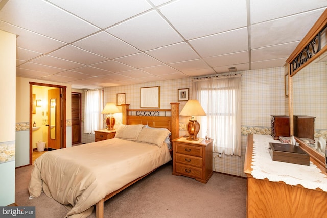 carpeted bedroom with wallpapered walls, a drop ceiling, and ensuite bathroom