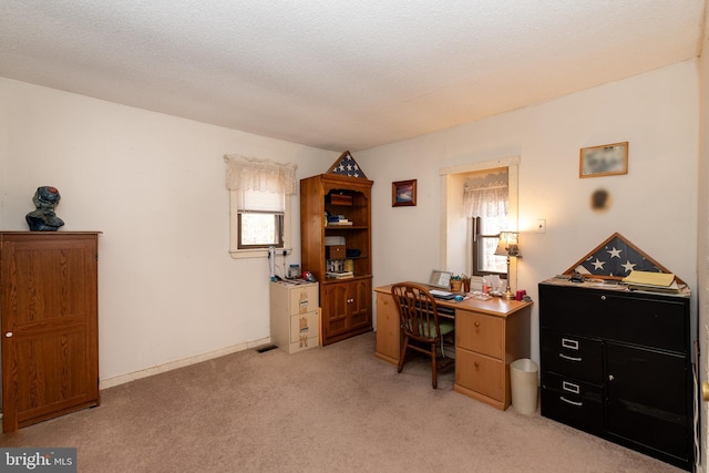 office space featuring light carpet and a textured ceiling