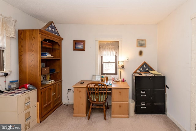 office space with light colored carpet