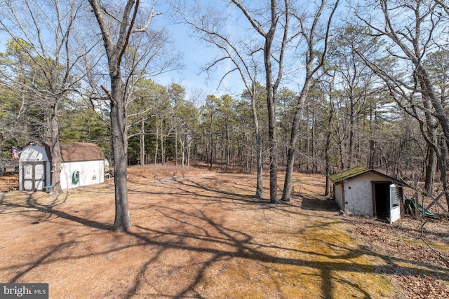 view of yard with a storage shed and an outdoor structure