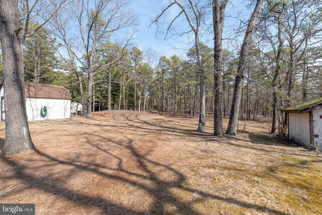 view of yard with an outbuilding and a shed