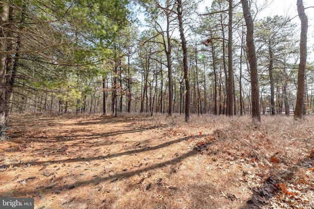 view of local wilderness