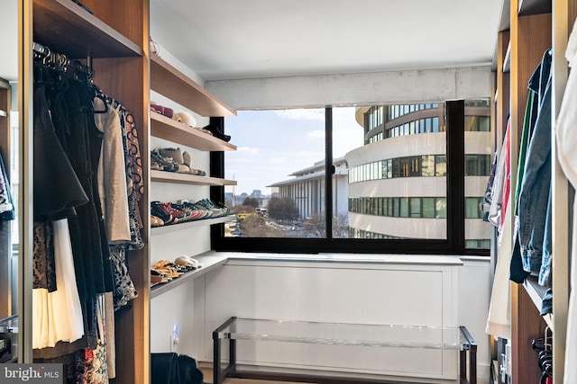 2510 Virginia Ave NW Unit 512-S, Washington, DC 20037 - view of walk in closet