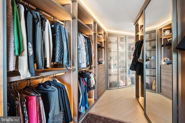 2510 Virginia Ave NW Unit 512-S, Washington, DC 20037 - spacious closet with wood finished floors