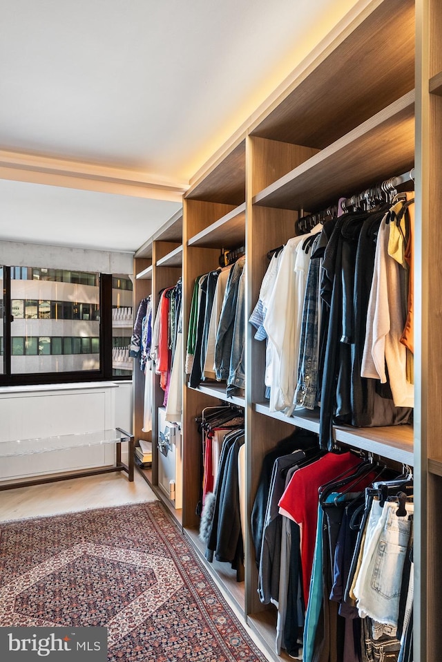 2510 Virginia Ave NW Unit 512-S, Washington, DC 20037 - view of spacious closet