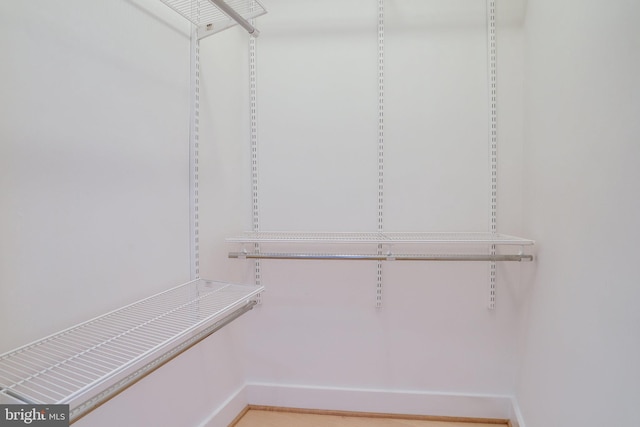 view of spacious closet