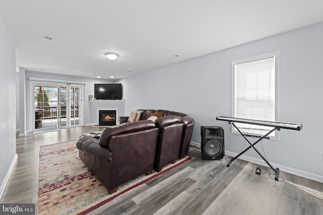 living area featuring baseboards, wood finished floors, and a glass covered fireplace