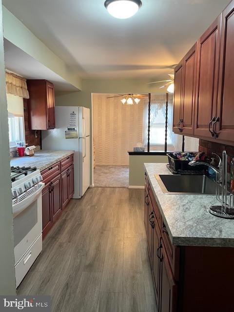 kitchen featuring white appliances, a ceiling fan, wood finished floors, light countertops, and a sink