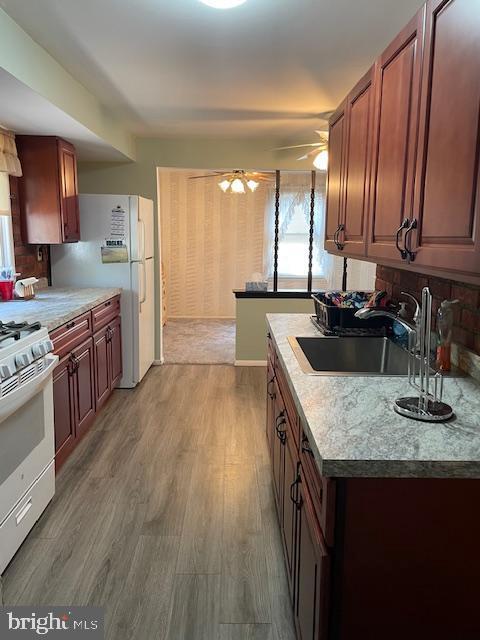 kitchen with light countertops, ceiling fan, a sink, wood finished floors, and white appliances