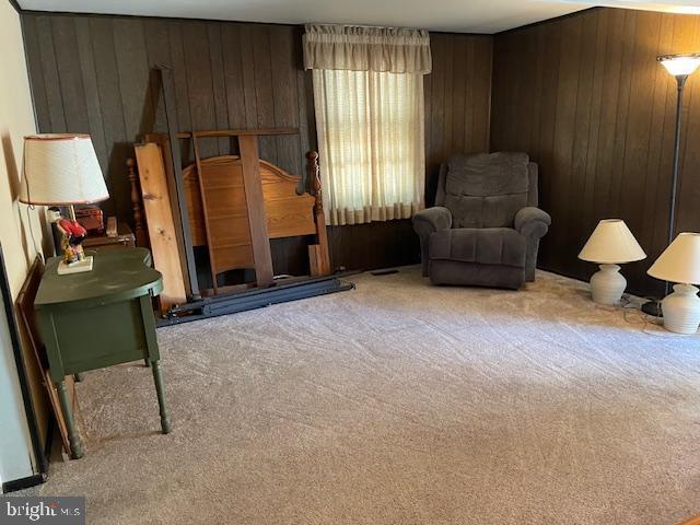 sitting room with carpet floors and wood walls