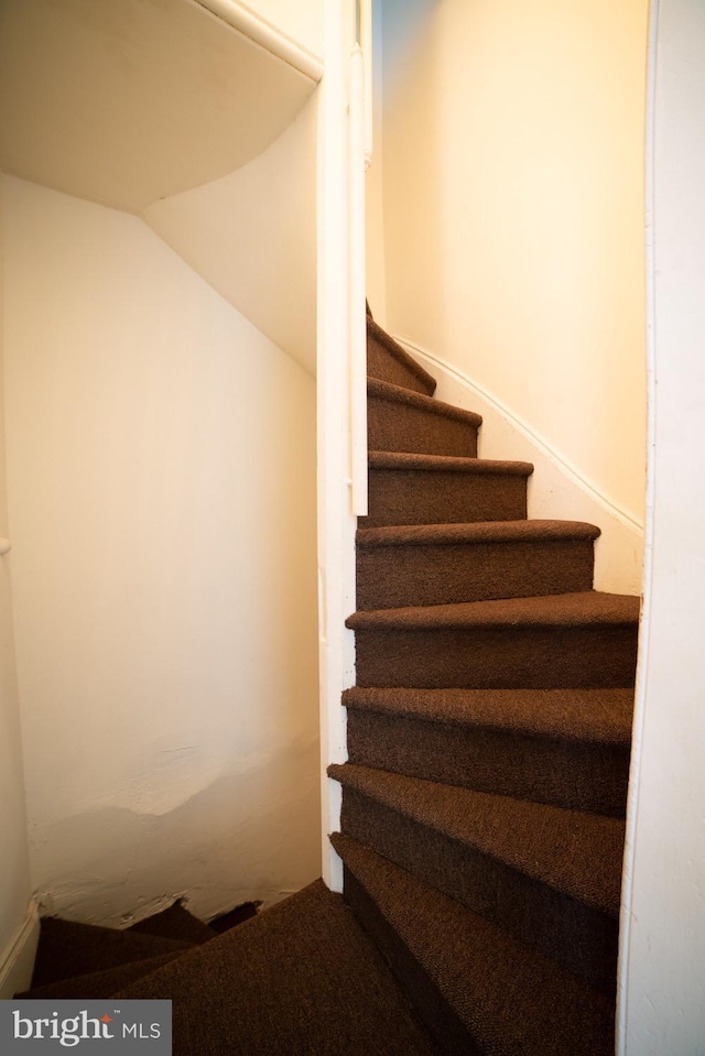 staircase featuring vaulted ceiling and carpet flooring