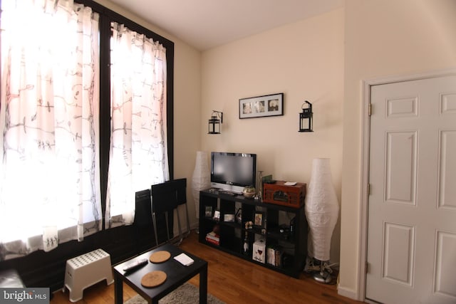 living area featuring wood finished floors