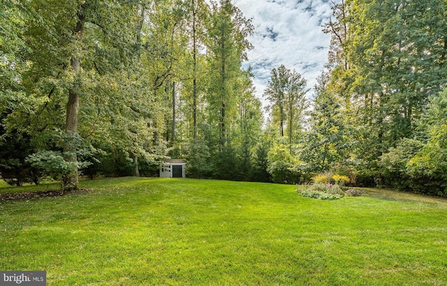 view of yard with an outbuilding, a forest view, and a storage shed