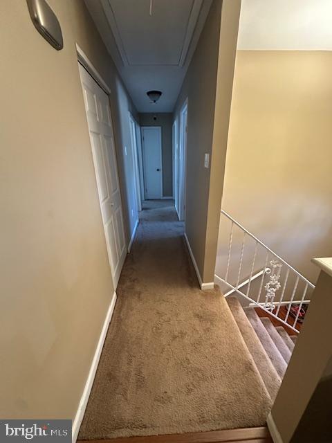 hallway featuring baseboards, carpet floors, and attic access