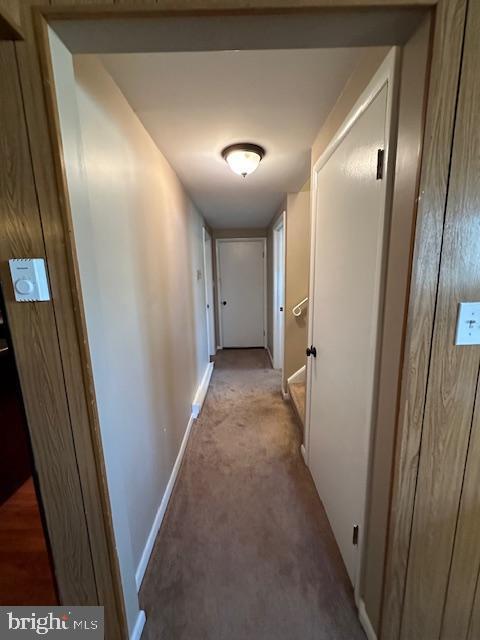 hallway featuring baseboards and carpet