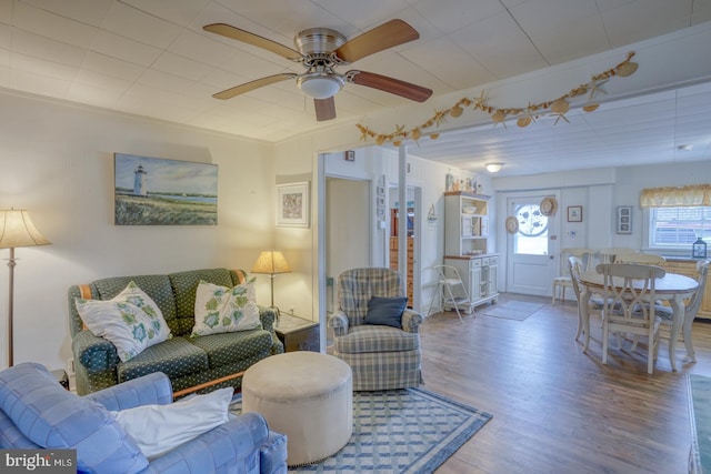 living room featuring ceiling fan and wood finished floors