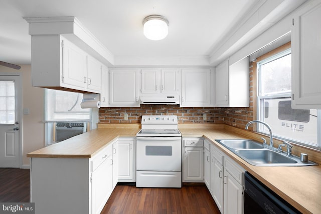 kitchen with white electric range oven, black dishwasher, a peninsula, ventilation hood, and a sink