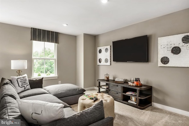 living area with carpet floors and baseboards