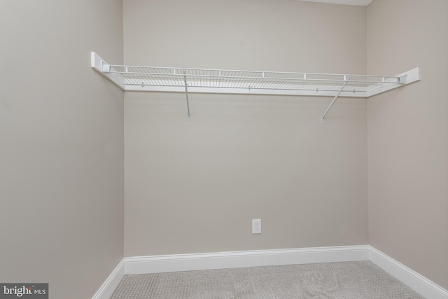 walk in closet with carpet