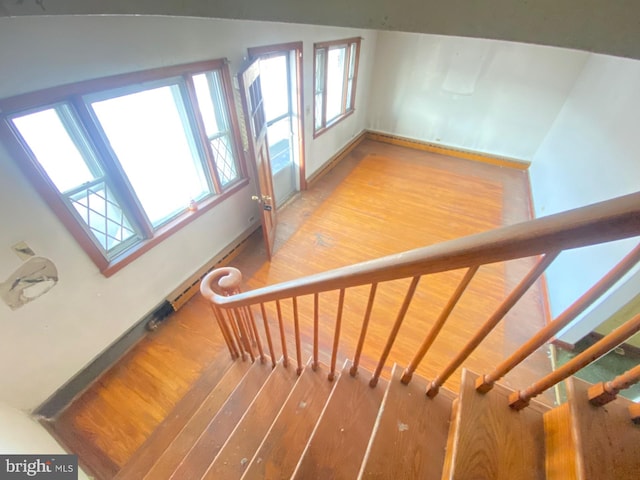 stairs featuring wood finished floors