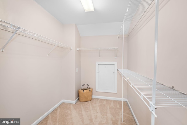 4637 Kirkland Pl, Alexandria, VA 22311 - walk in closet featuring carpet flooring