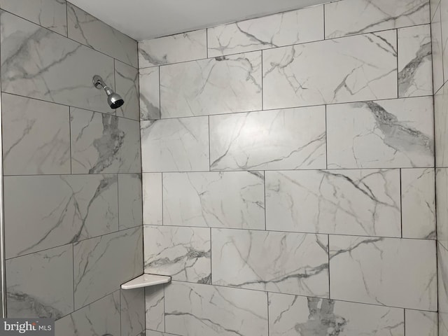 room details with tiled shower