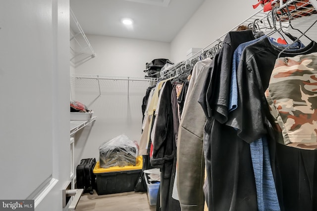 walk in closet featuring wood finished floors