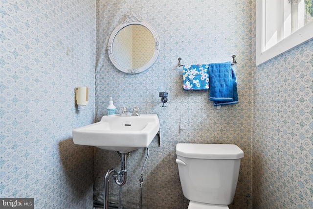 bathroom with toilet and a sink