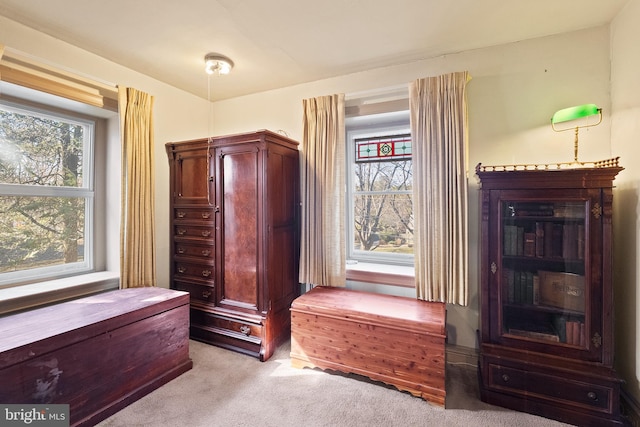 bedroom with carpet floors