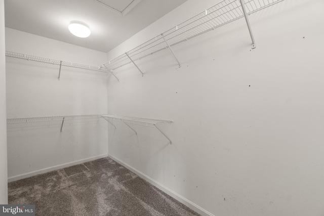 spacious closet featuring dark colored carpet