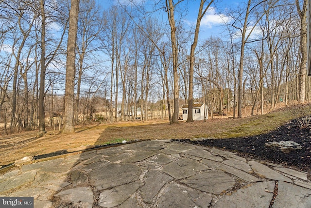 view of yard with an outbuilding