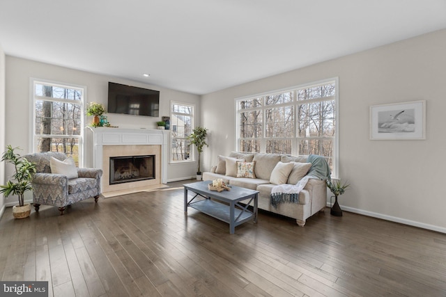 living area featuring a fireplace, baseboards, and wood finished floors