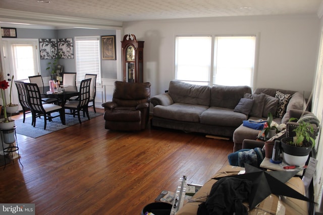 living area with wainscoting, dark wood-style floors, and crown molding