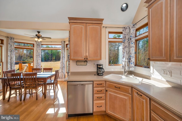 kitchen featuring a sink, a wealth of natural light, light wood-type flooring, and dishwasher