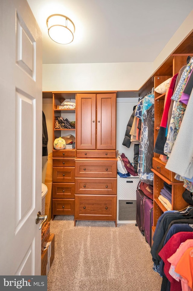 spacious closet with light carpet