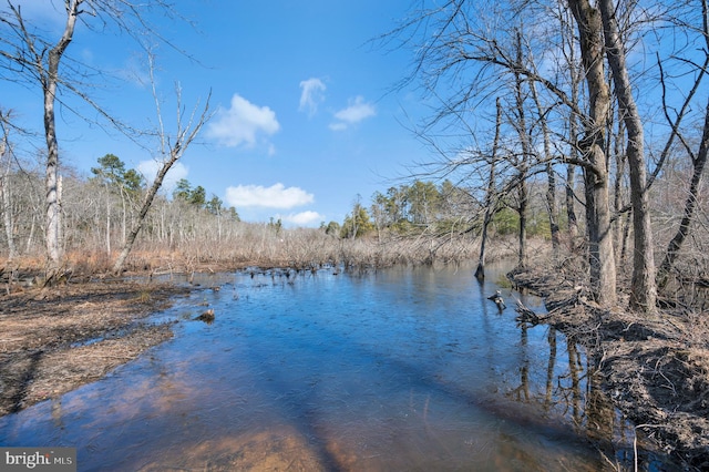 property view of water with a wooded view