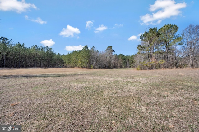 view of yard with a wooded view