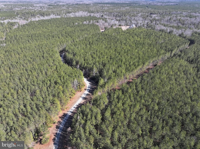 birds eye view of property featuring a forest view