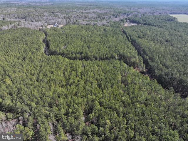 drone / aerial view featuring a view of trees