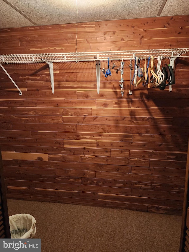 walk in closet featuring carpet floors