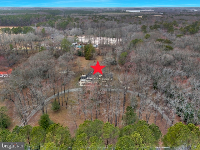 bird's eye view with a view of trees